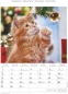 Preview: Bildkalender A4 Katzen